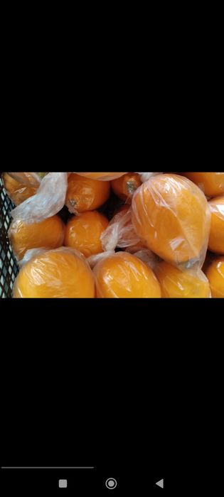 Местный лимон 2000+кг