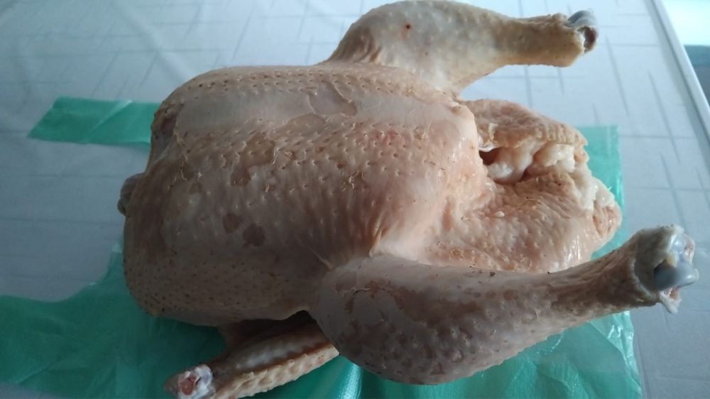 Продам домашнюю курицу (бройлера)
