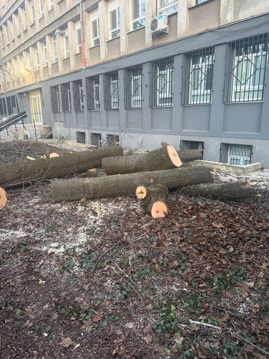 Почистване на дворове