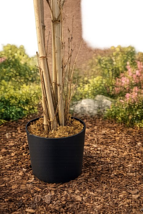 Bambus Artificial Premium 210 cm, Aspect Natural, Decor Luxury pentru Living, Birou, Hotel