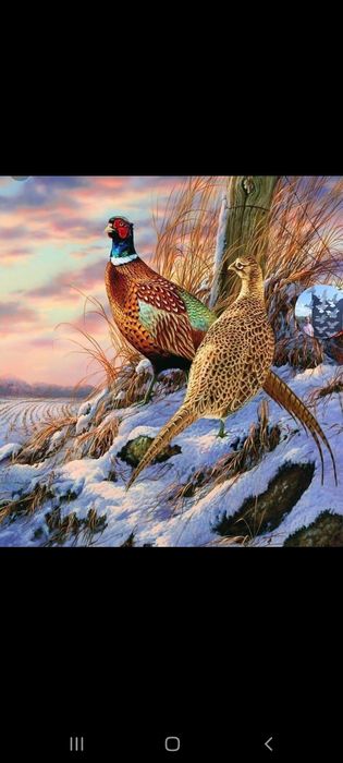 Kavkaz Fazan tuxumlari sotladi donasi 30 ming so'mdan