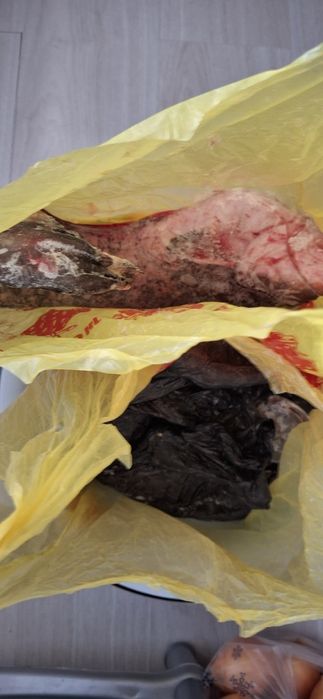 Сомик сатылады..