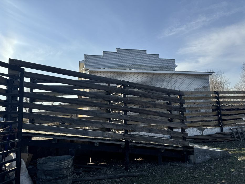 Конюшня в аренду.гСемей