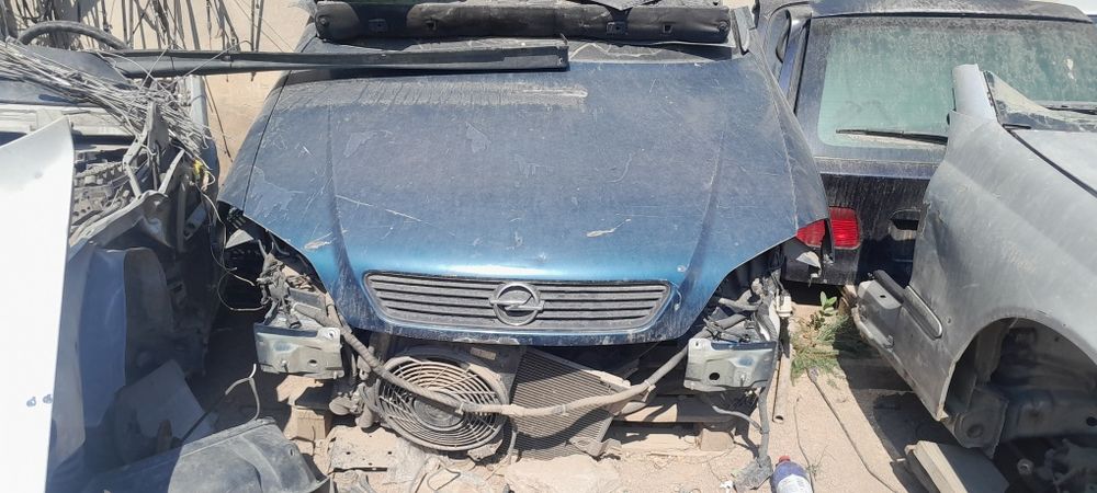 Алтын және қызыл порно секс