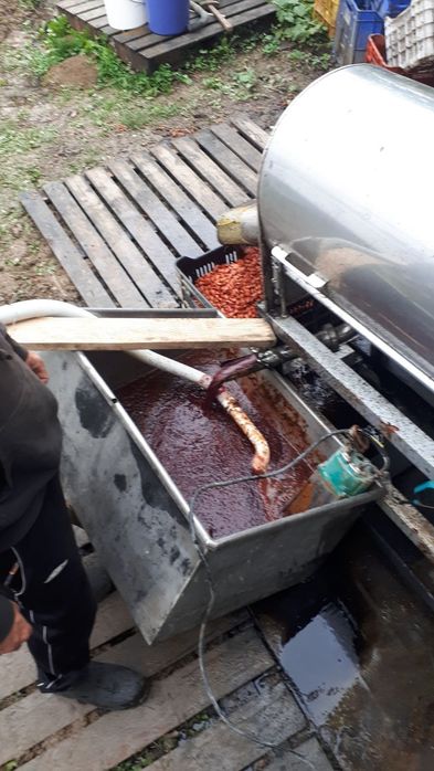 Сини сливи Попово
