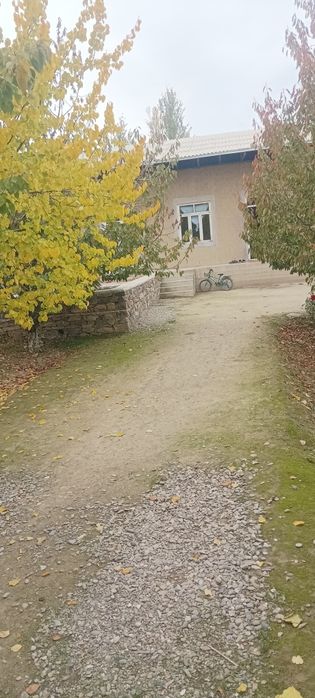 Jizzax Shahar Hamid Olimjon Toqchiliq