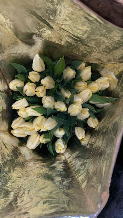 Тюльпаны см по самым низким ценам