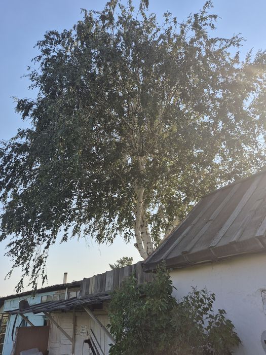 Дача плодородная