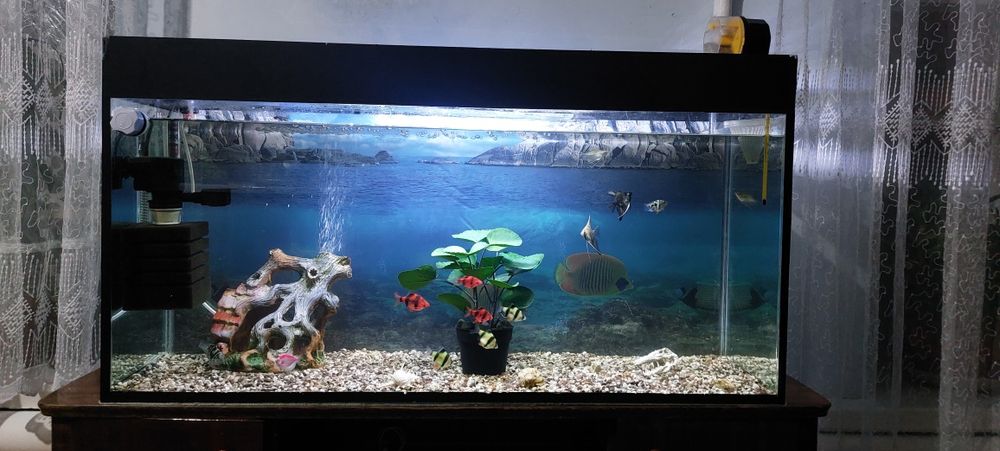 Аквариум 150 литров