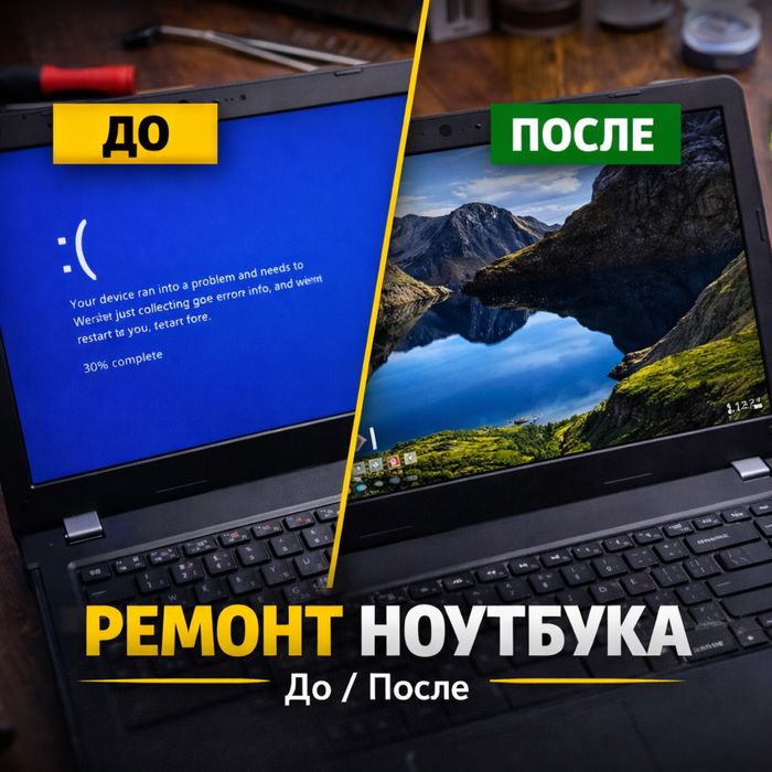 Программист Актау | Айтишник | Без навязывания и честно