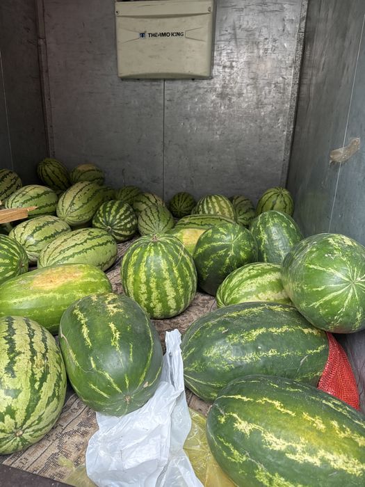 Продам арбузы лебяженский в городе
