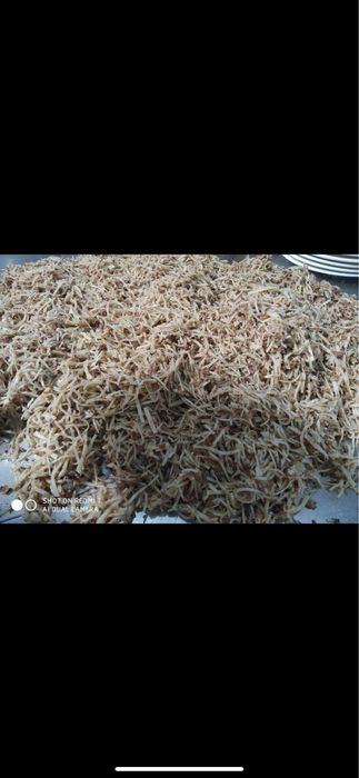 Norin xamir Va norin bor