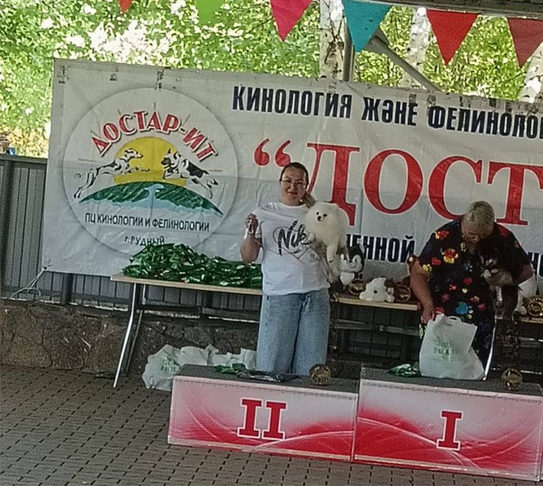 Вязка померанского шпица
