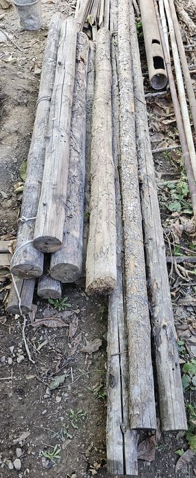 Бревна - кругляки.
