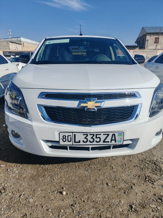 cobalt midnight 2025 pachka.