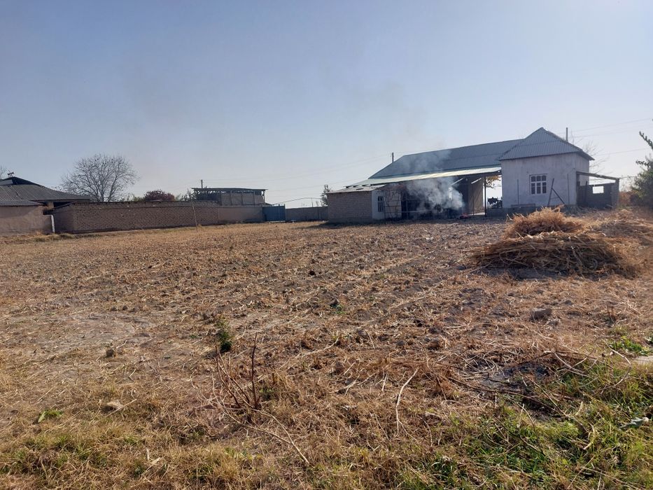 Текс участка сотиляпти.8.сотх