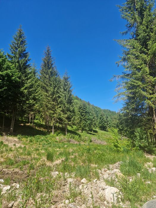 Vând teren în zona de munte