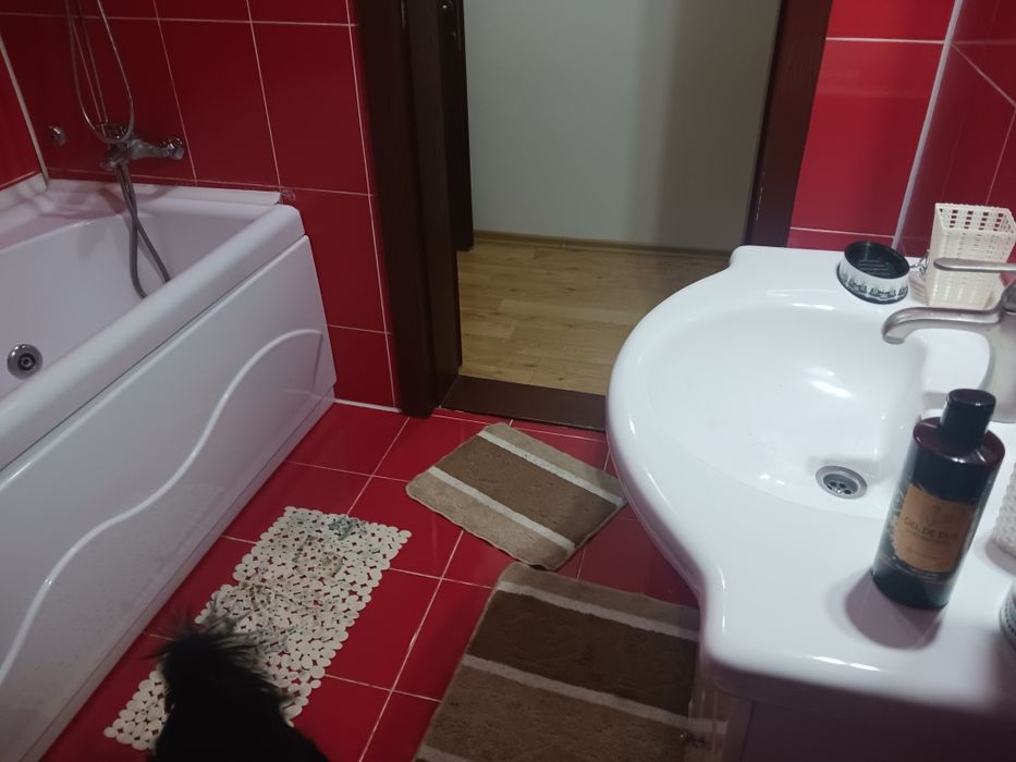 Casa de închiriat,tip duplex ,garaj+grădină!