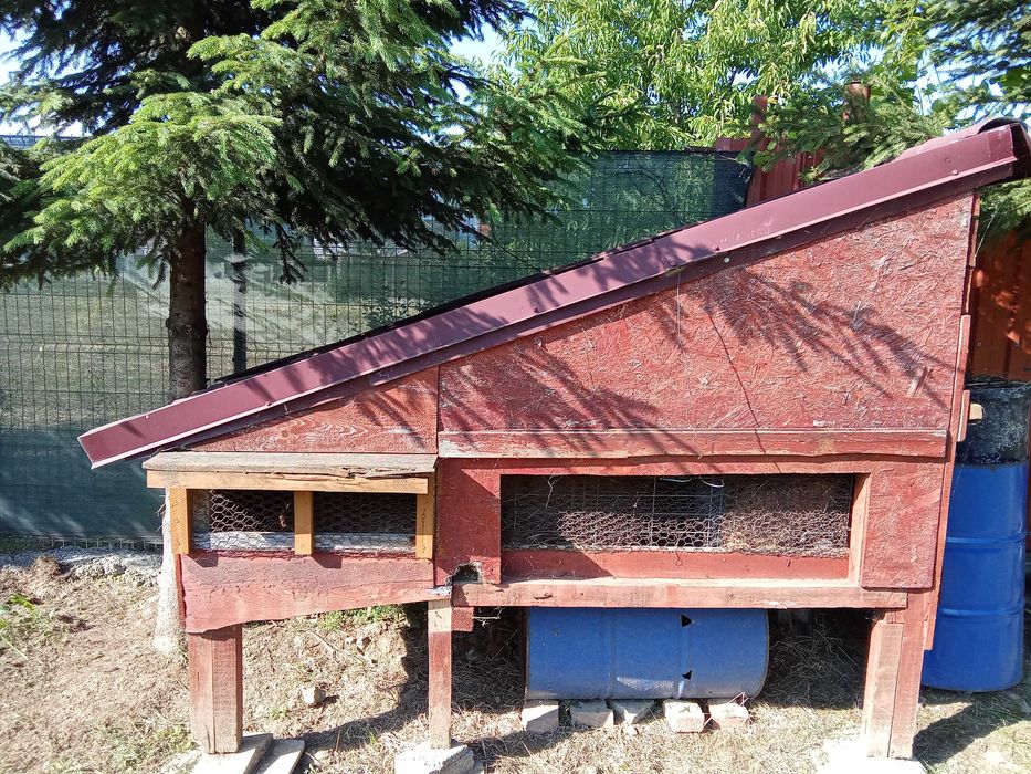 vand cusca , cotet 300 ron