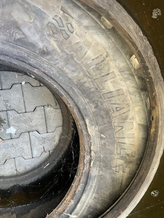 cuciucuri de vanzare