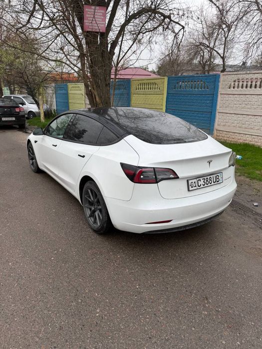 Srochna Tesla 3 Dual motor rong range