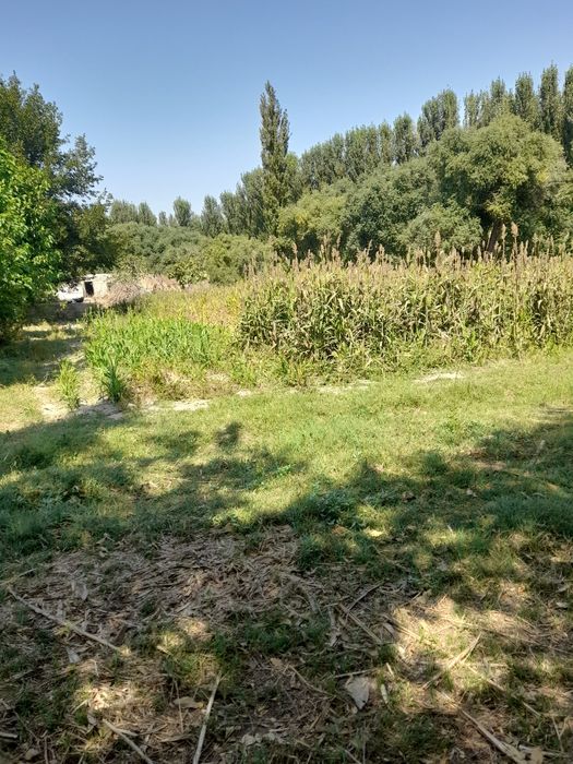 23 sõtix uy qura bõladi suv svet gaz bor