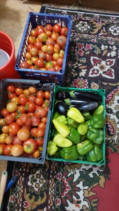 Продам дачу в ПК "Спутник"