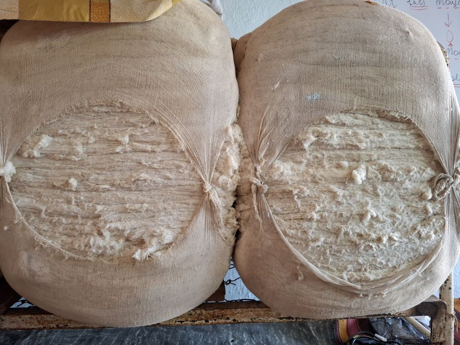 Той пахта. 50 килолик. 3та