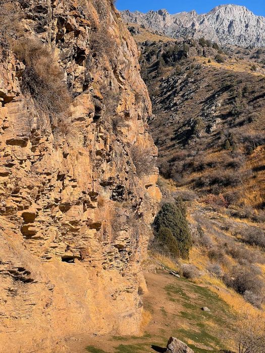 Turistlar aylanishi uchun joy tog va ormonlar