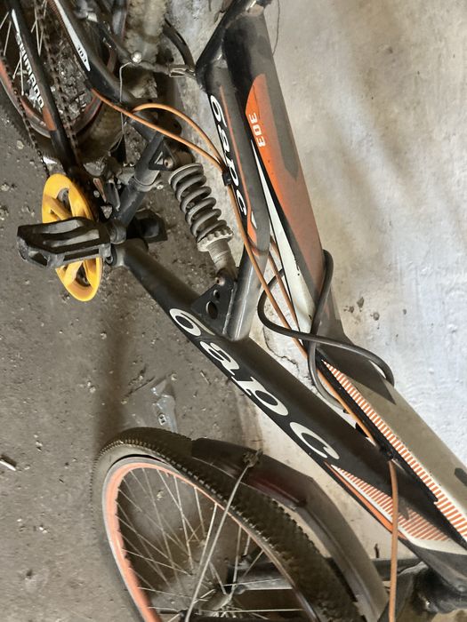 Велик бу барс буб