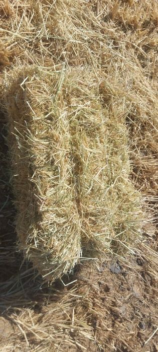 Сабан прес бар сабан