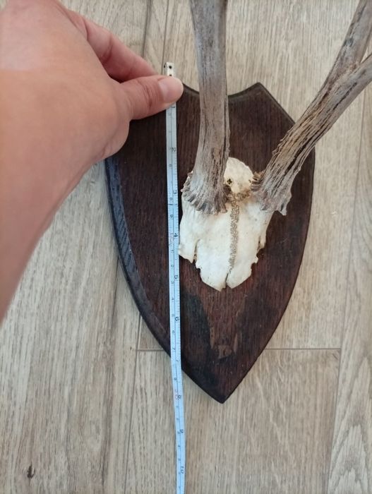 Decorațiune de perete