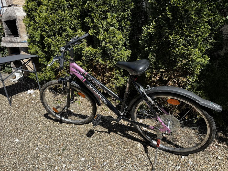 Bicicleta Pegasus