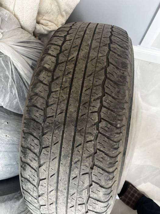 Летняя резина dunlop