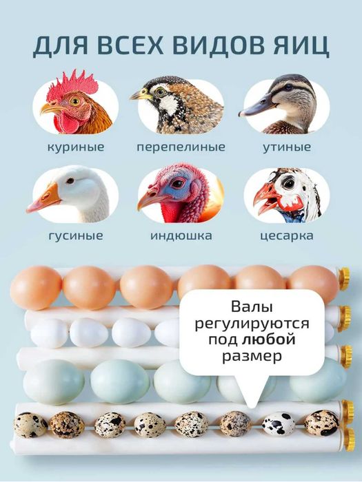 Автоматический инкубатор яиц с автоповоротом