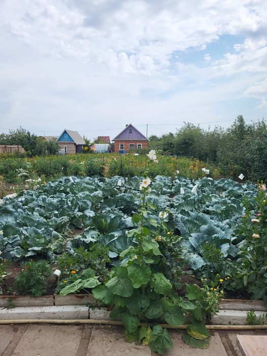 Продам дачу "Вавилова"