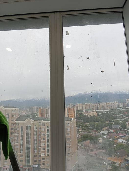 Услуги Клининга Уборка Дамов Коттеджей