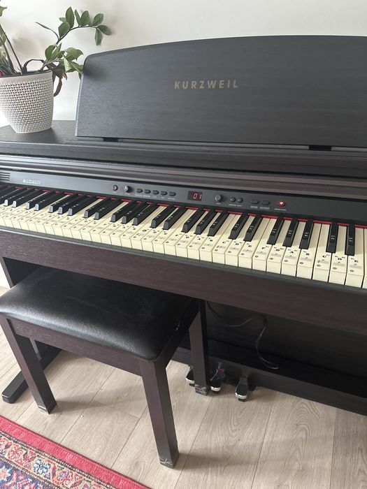 Фортепиано Kurzweil