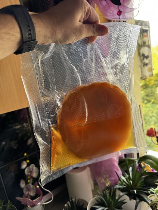 Kit ciuperca de kombucha