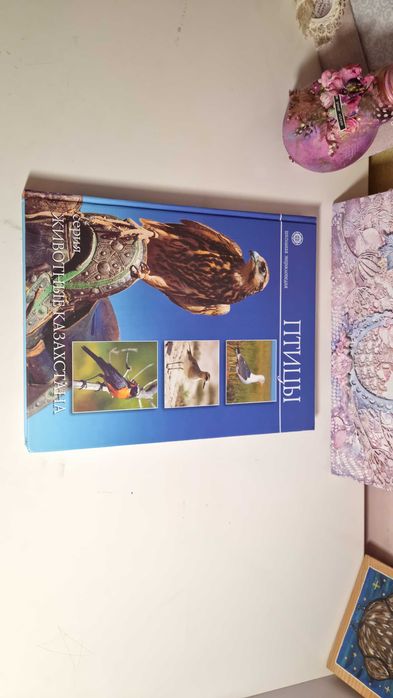 Литература, журналы, книги