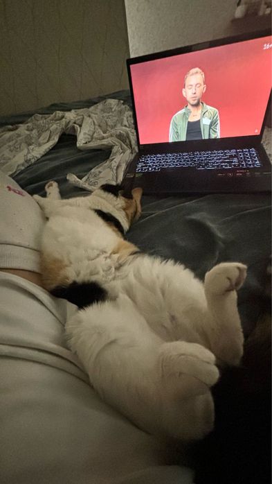 Отдам в хорошие руки