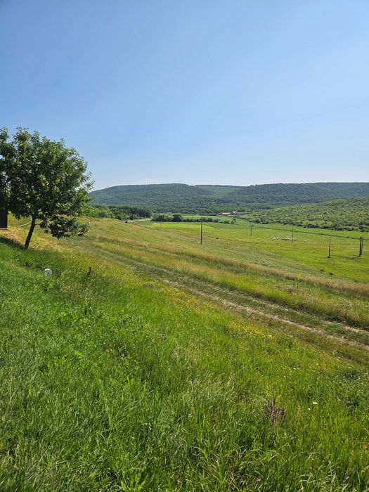 Vand Teren - 7200 mp - E581 si Teren - 2000 mp - Cretestii de Sus/Husi,Vaslui