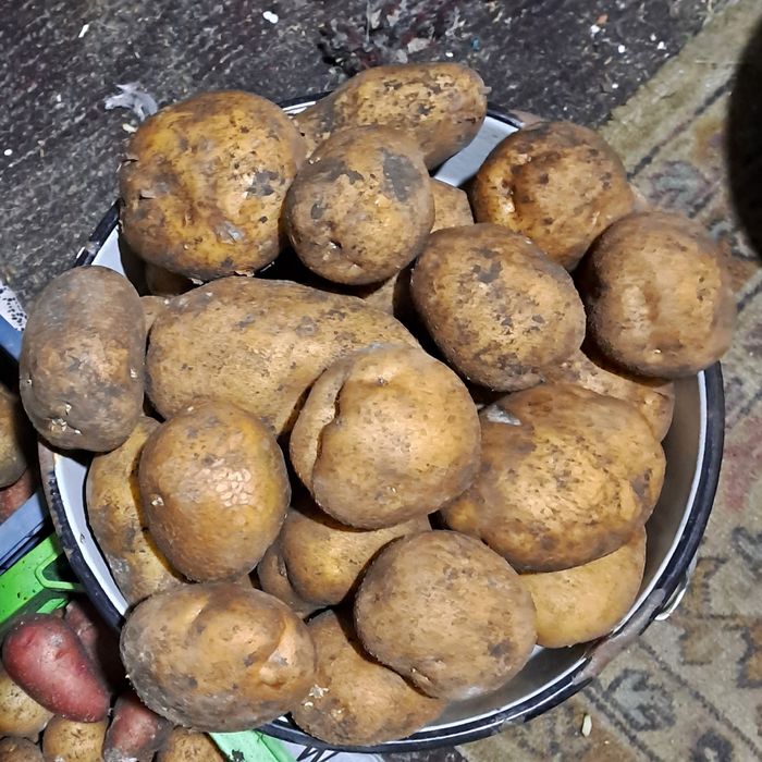 Продукты питания