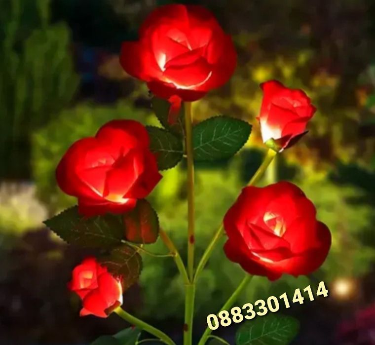 Соларна лампа Роза Водоустойчива