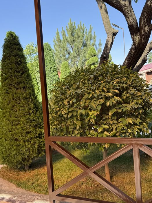 Дача аренда Саёхат