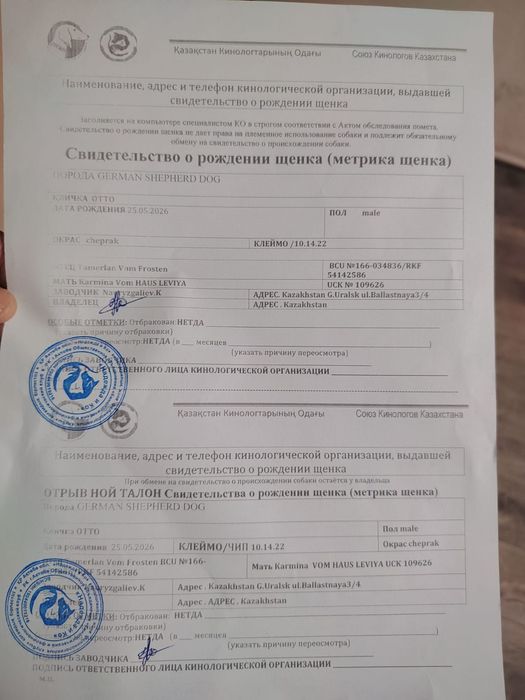 Продам немецкую овчарку