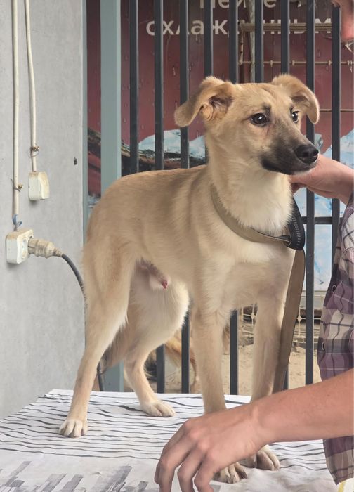 Май - ваш лучший друг ищет именно вас