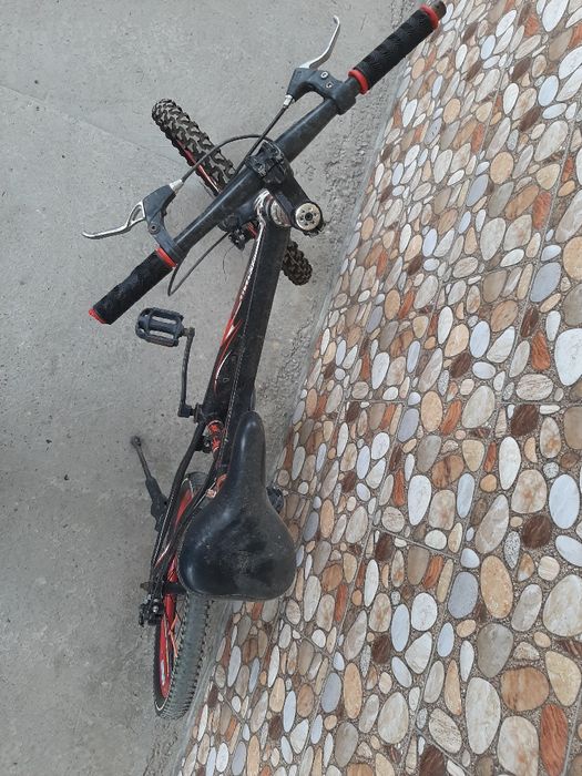 Велик кішкентай зор сапада