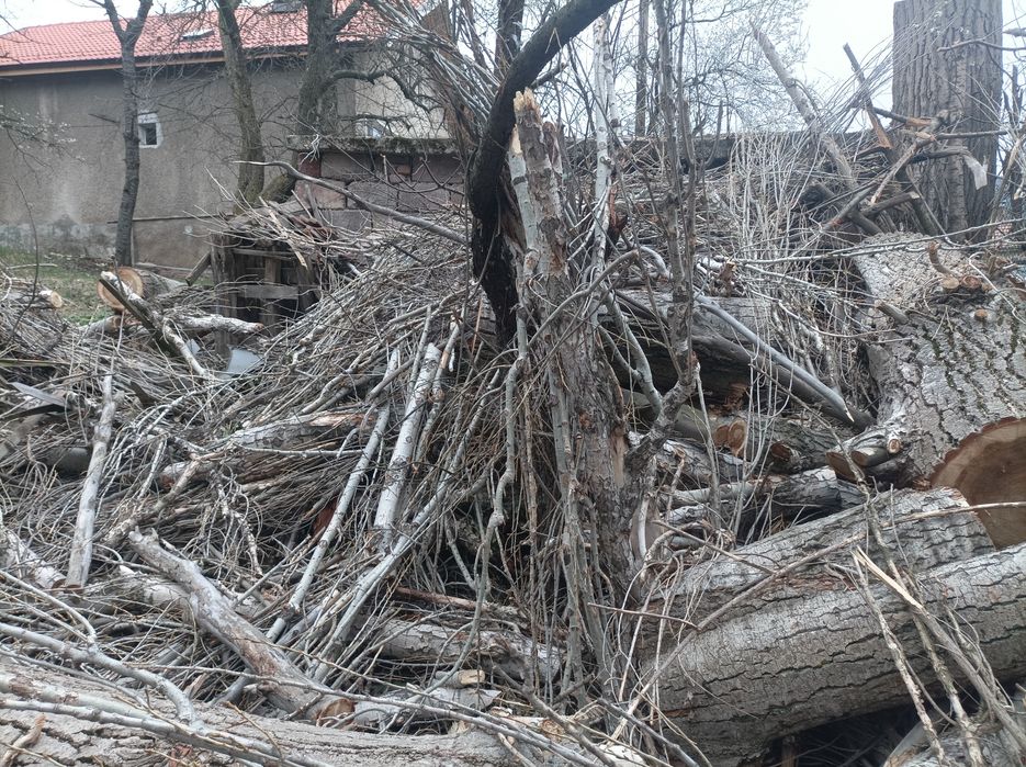 Дърва за огрев Топола,