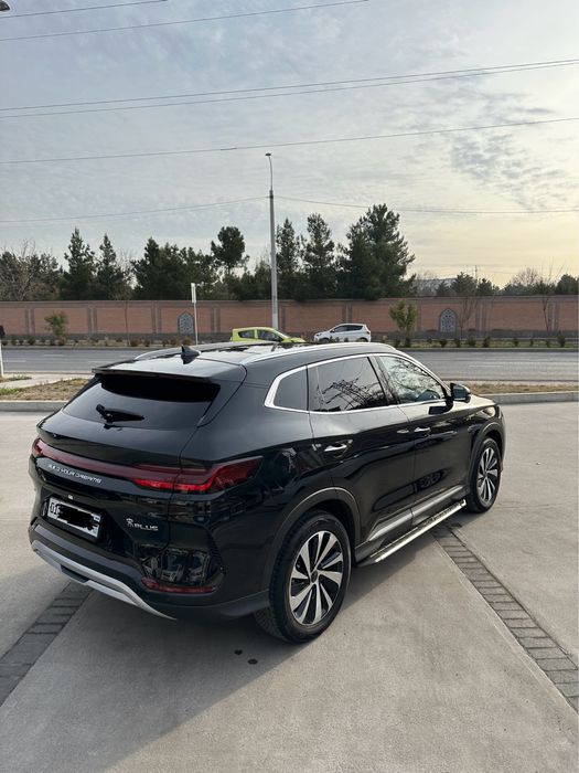 Byd chempion 2024 yil